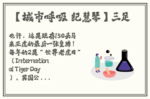 老镖客城中村探店达人